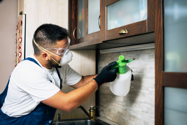 Best Pest Control for Businesses  in Cedar Lake, IN