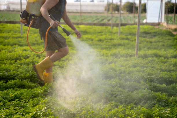 Best Exterminator Services  in Cedar Lake, IN