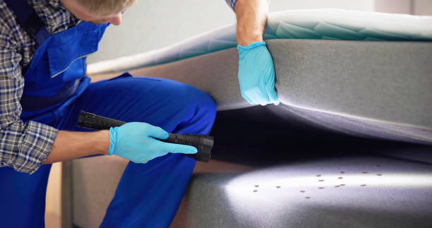 Best Termite Control Services  in Cedar Lake, IN