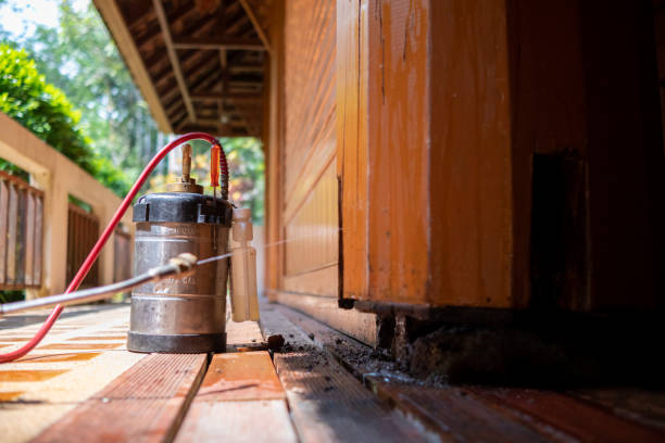 Best Pest Control for Businesses  in Cedar Lake, IN