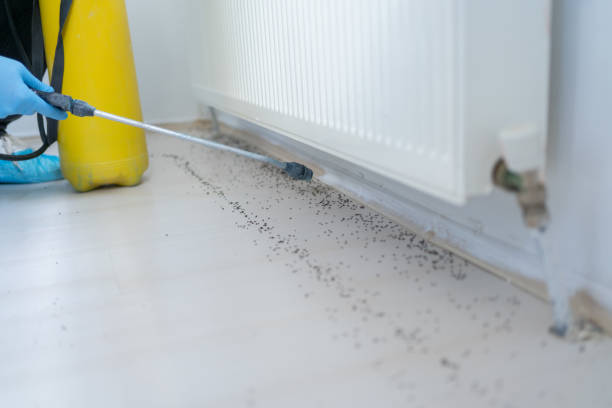 Best Pest Prevention Services  in Cedar Lake, IN