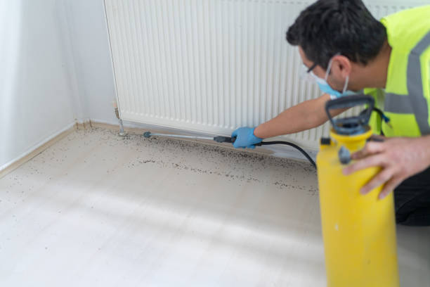 Best Emergency Pest Control  in Cedar Lake, IN