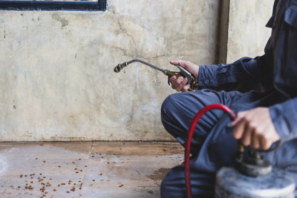 Best Pest Removal Services  in Cedar Lake, IN
